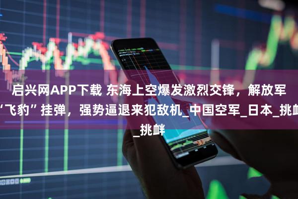 启兴网APP下载 东海上空爆发激烈交锋，解放军“飞豹”挂弹，强势逼退来犯敌机_中国空军_日本_挑衅